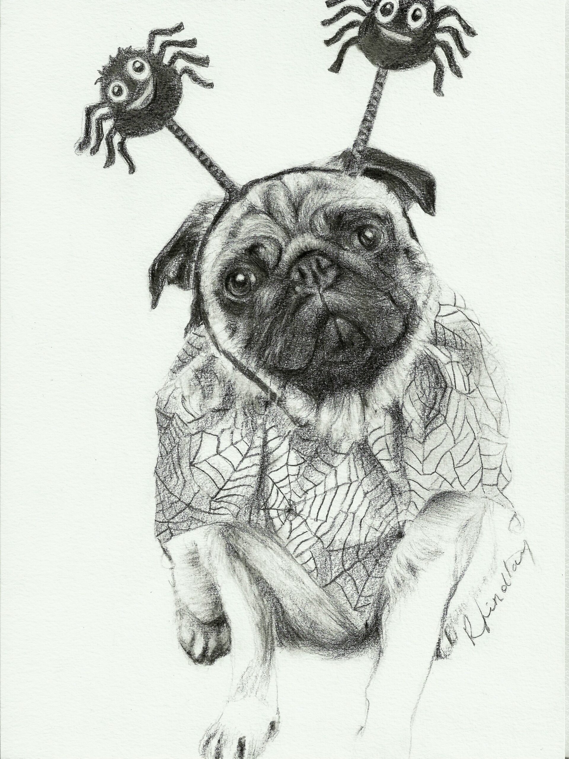 This is a pet portrait commis done in pencil on paper. It shows a pug dog wearing a Halloween outfit.