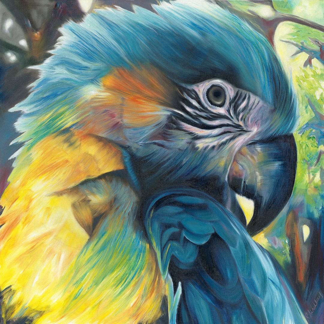 oil and acrylic painting on canvas of a blue-throated Macaw