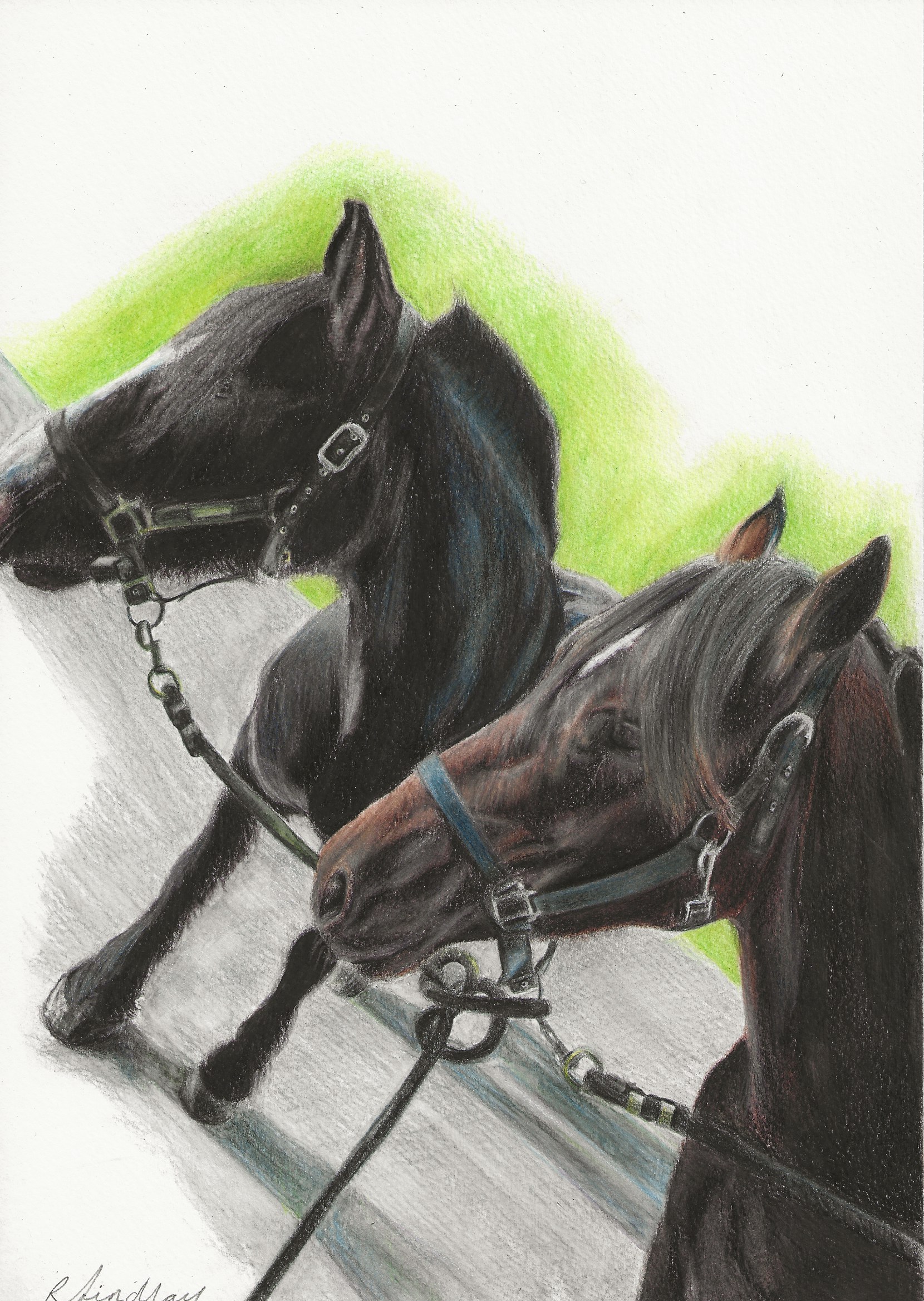 This is a pet portrait commission. It shows two horses stood.