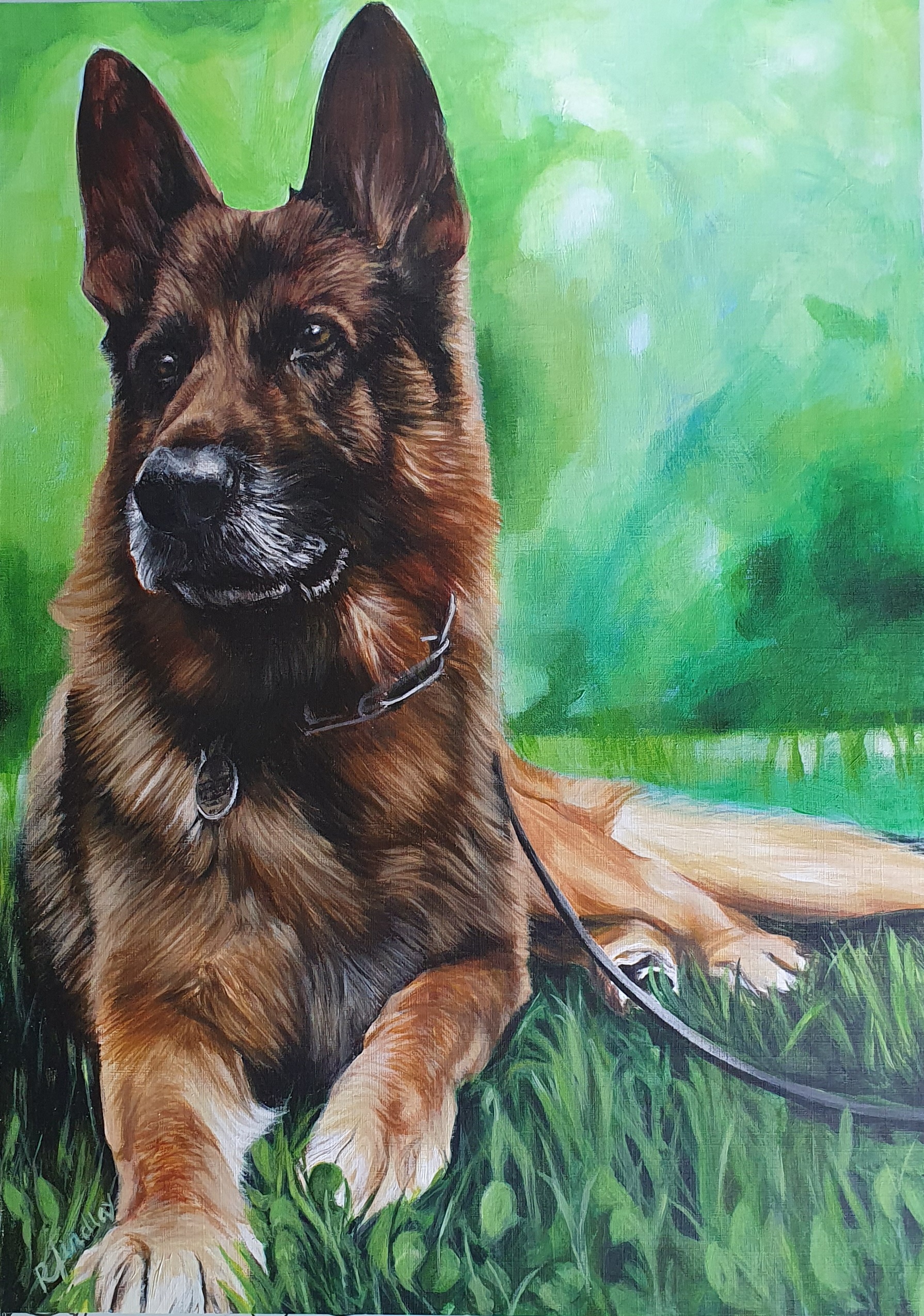 This is a pet portrait commission. It shows a german shepherd dog sat on the grass.
