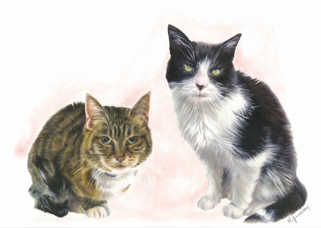 Two cats painted in acrylic paint on paper.