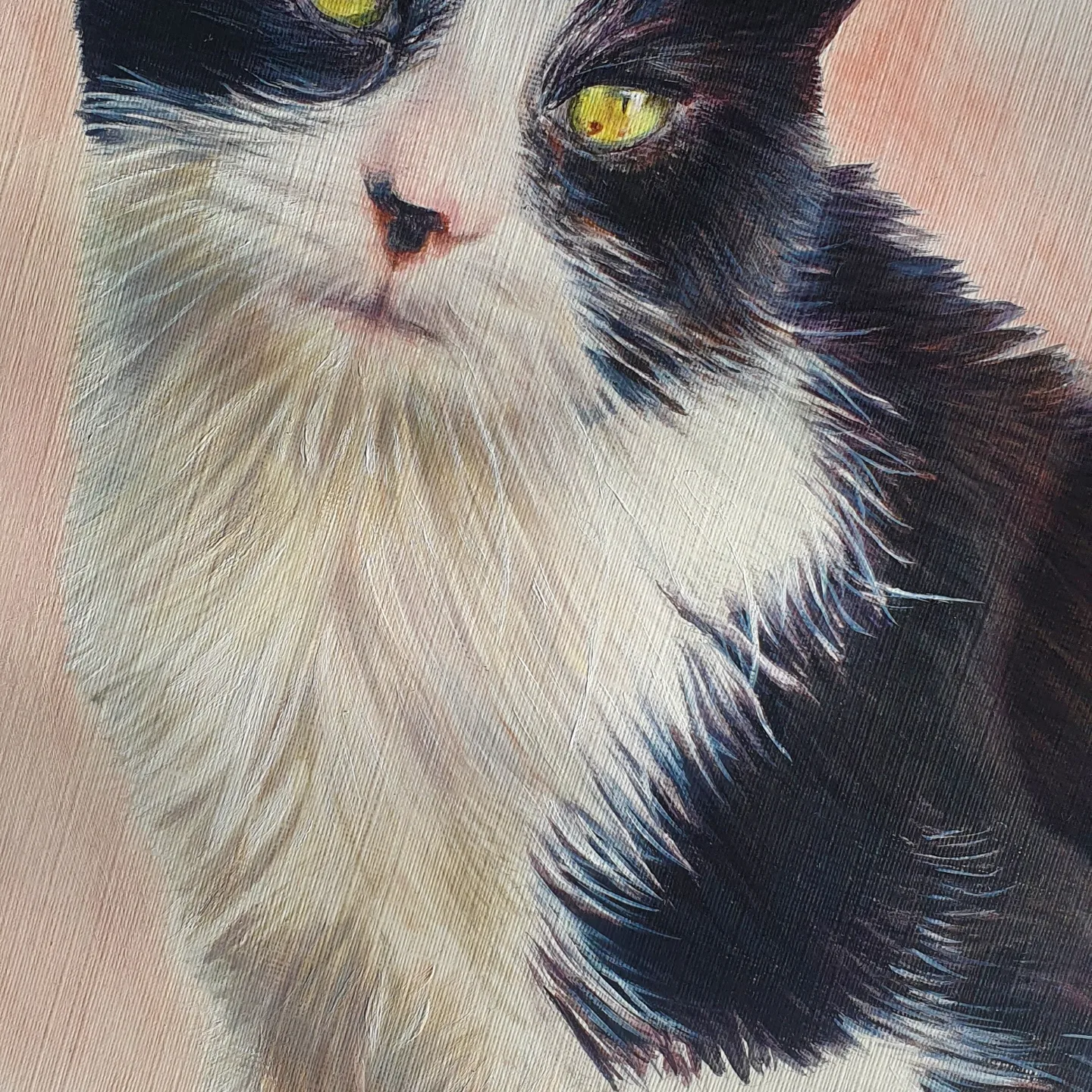 acrylic painted cat detail