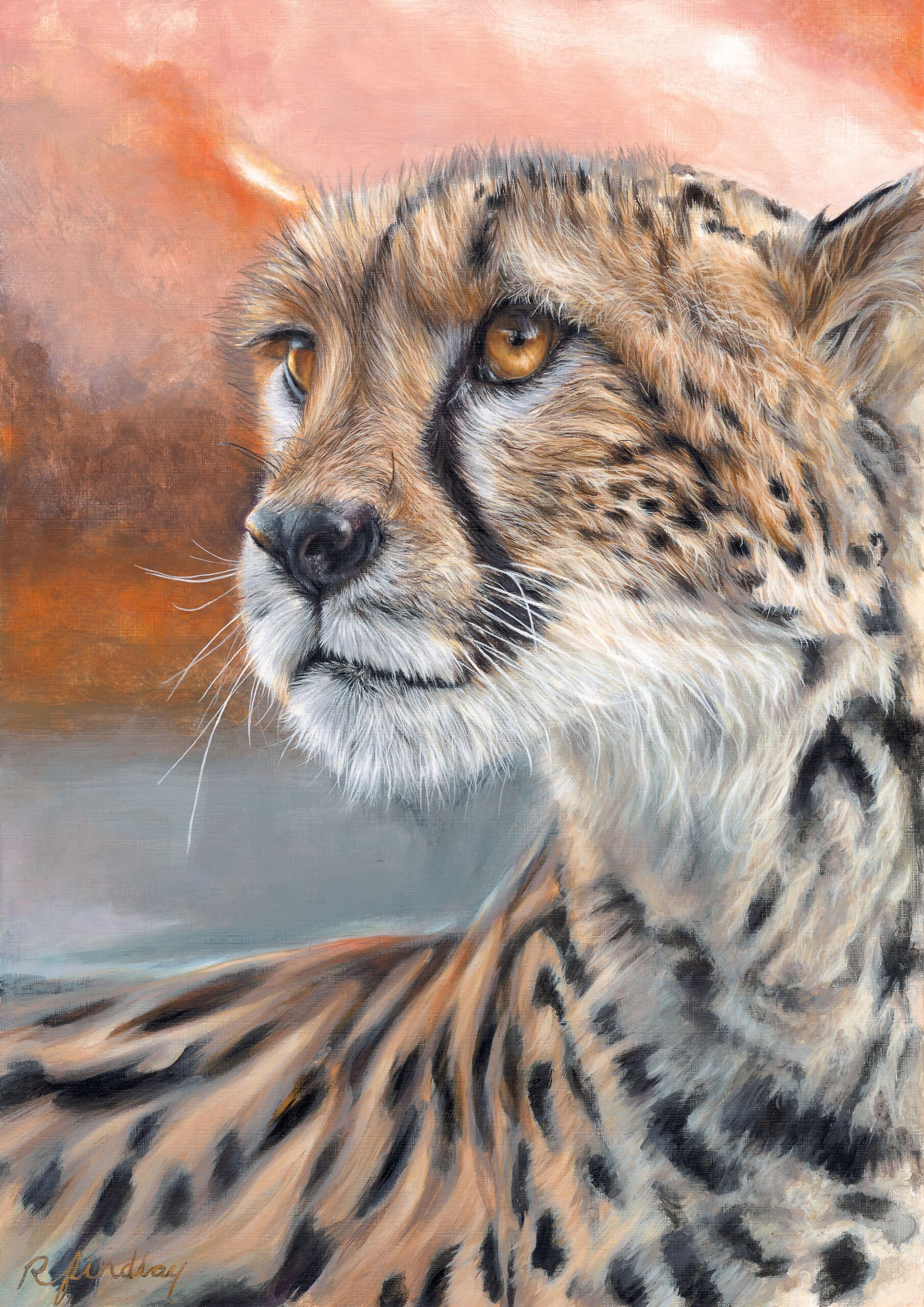 Wildlife art by Rebecca Findlay. 